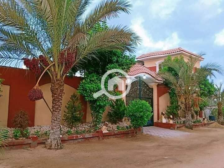 2 WhatsApp Image 2026-01-13 at 16.48. 03. jpeg