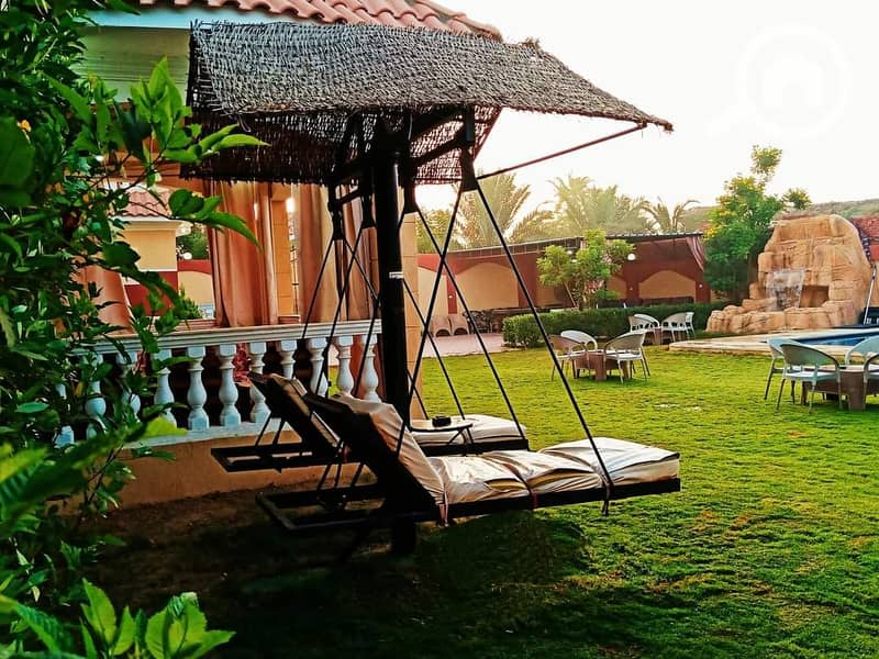 7 WhatsApp Image 2026-01-13 at 16.48. 07. jpeg