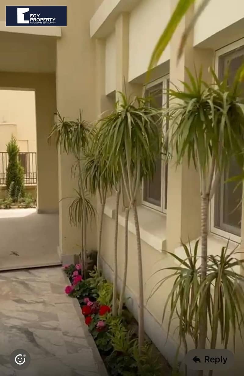 4 _files_1a16aa9. jpeg