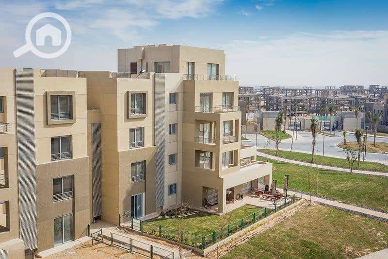 9 palm-parks-17. jpg