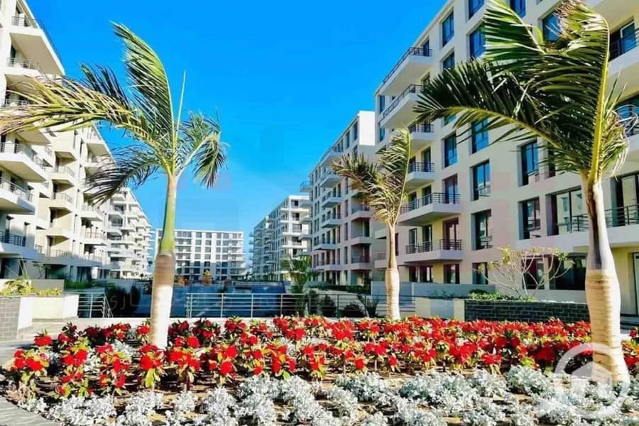 6 WhatsApp Image 2026-01-14 at 4.46. 50 PM. jpg