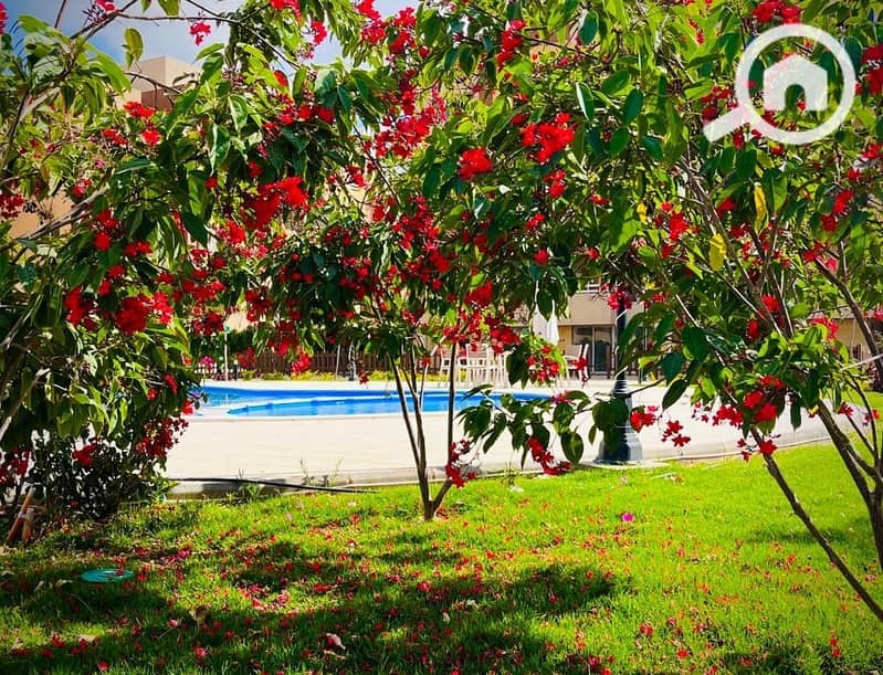 5 WhatsApp Image 2025-10-12 at 2.02. 24 PM (1). jpeg