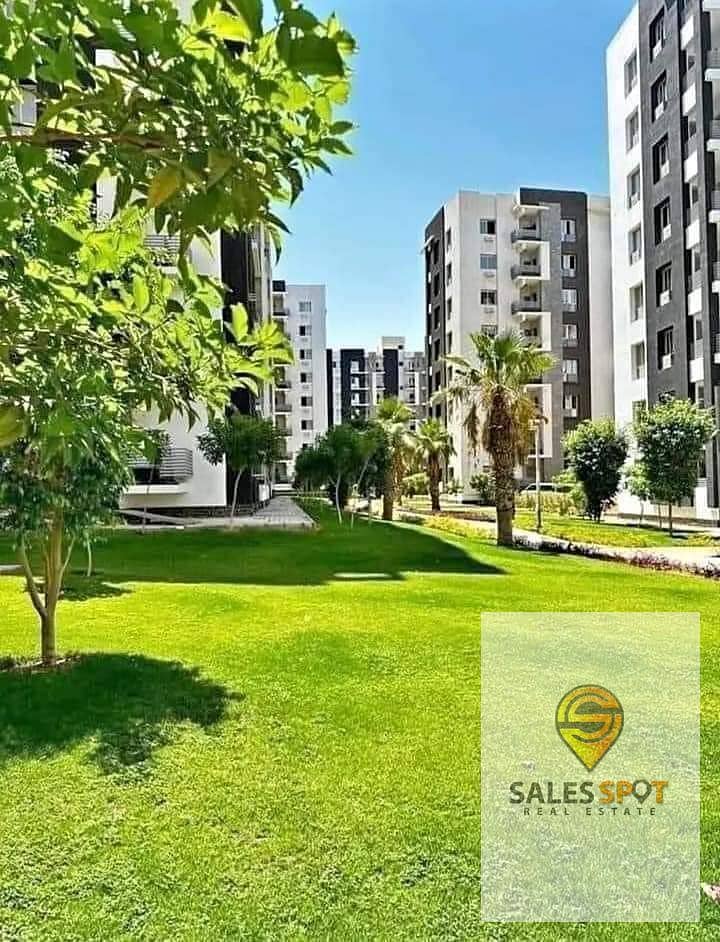 13 WhatsApp Image 2024-08-12 at 11.18. 47_11845f36. jpg