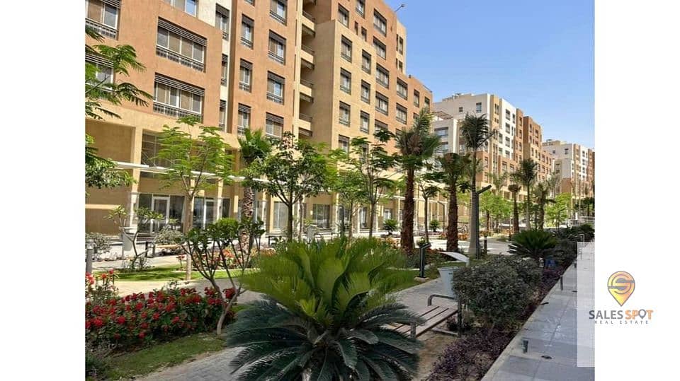 5 388977493_6723797231007035_1276288203202869772_n. jpg