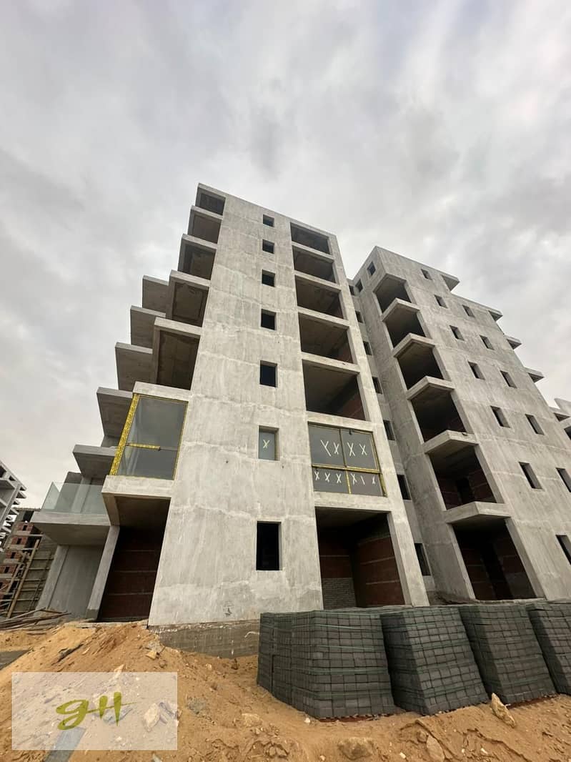 4 3843cf81-51e0-43e8-97e8-0a0e8b8c752c. jpg