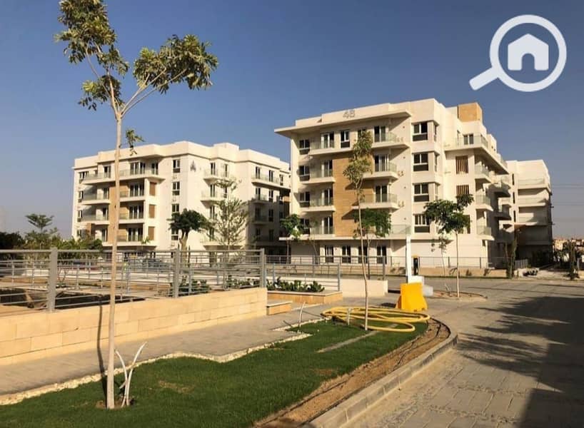 4 WhatsApp Image 2024-06-06 at 1.33. 48 PM (1). jpeg