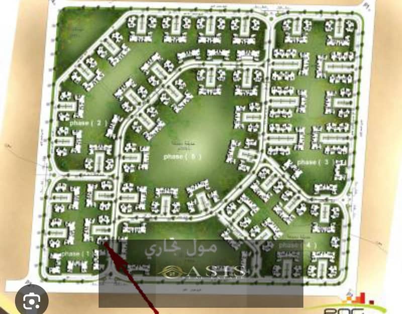 3 WhatsApp Image 2026-01-15 at 13.53. 49 (1). jpeg