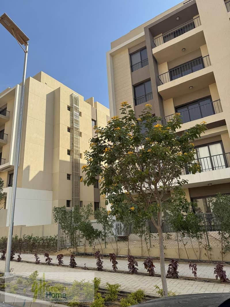 12 marassem (4). jpg