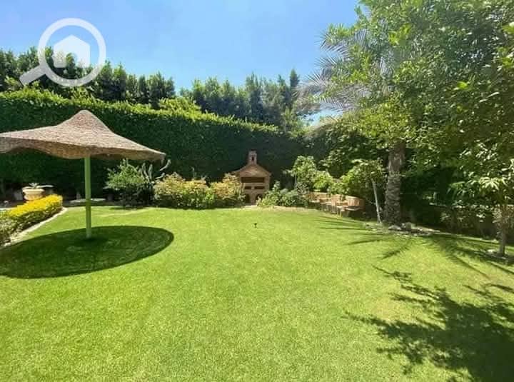 5 WhatsApp Image 2025-07-17 at 2.28. 57 PM. jpeg