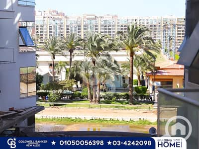 فلیٹ 3 غرف نوم للبيع في سموحة، الإسكندرية - 493272334_1103230095156957_4063992988207085620_n. jpg