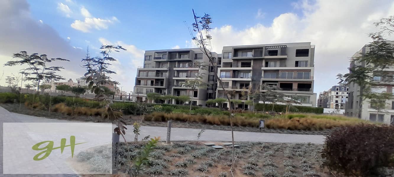 6 20260109_155831. jpg