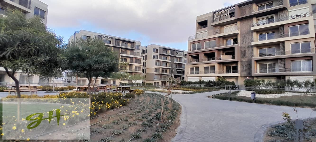 7 20260109_155933. jpg