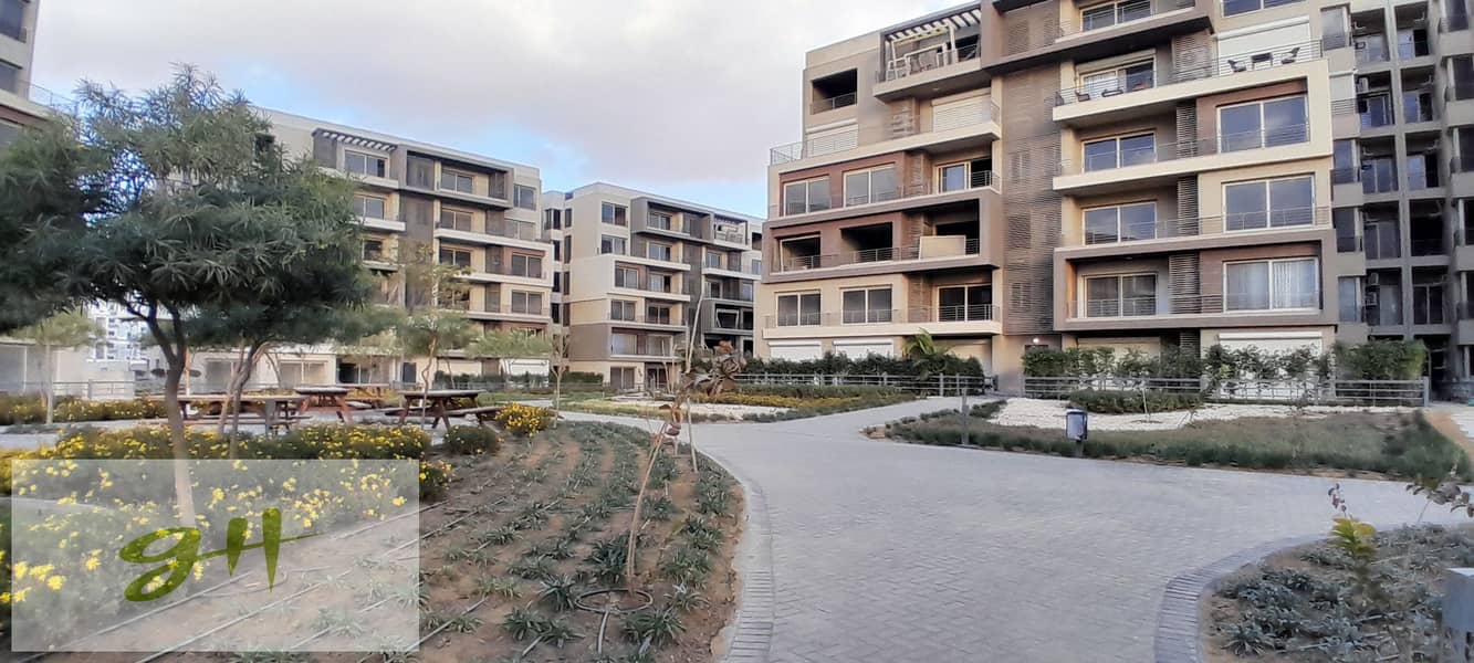 8 20260109_155935. jpg