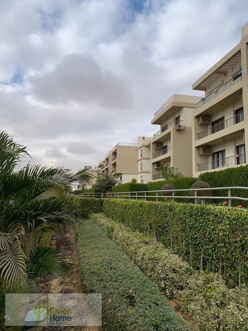 13 1952f675-4a14-415a-9935-39a72890a99a. jpg