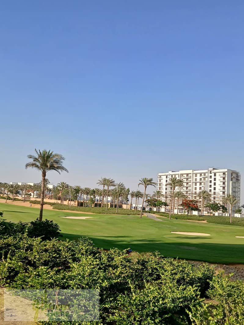 5 6ed62b94-ba9a-4355-b4c0-845e26adfd7b. jpg