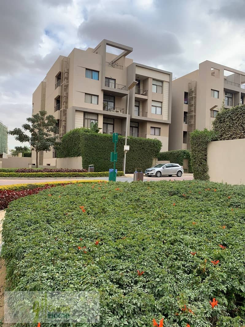 14 4163a45f-bd56-40e2-be5b-efc84127b521. jpg