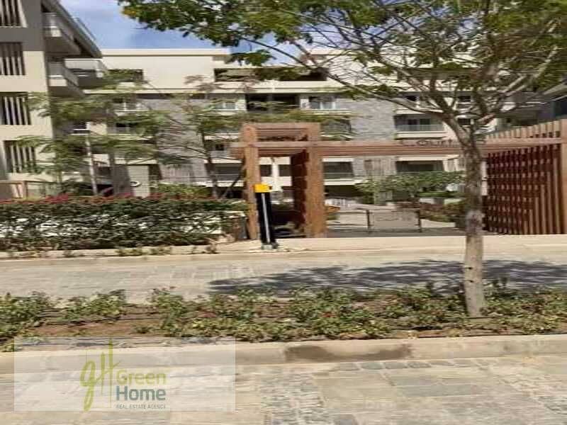 3 WhatsApp Image 2024-11-27 at 16.02. 21. jpeg