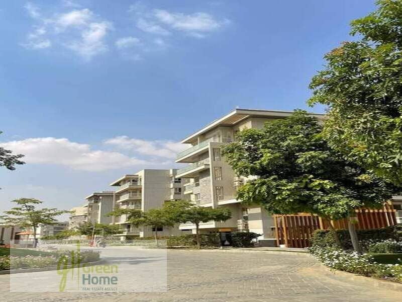 4 WhatsApp Image 2024-11-27 at 16.02. 22. jpeg