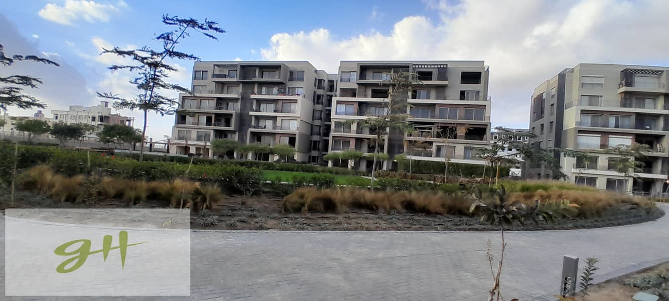 4 20260109_155838. jpg