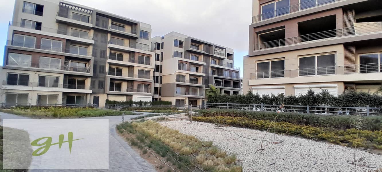 5 20260109_155954. jpg