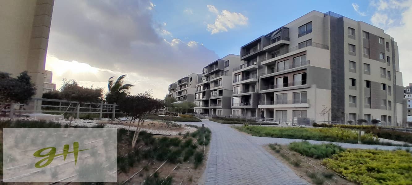 6 20260109_160047. jpg