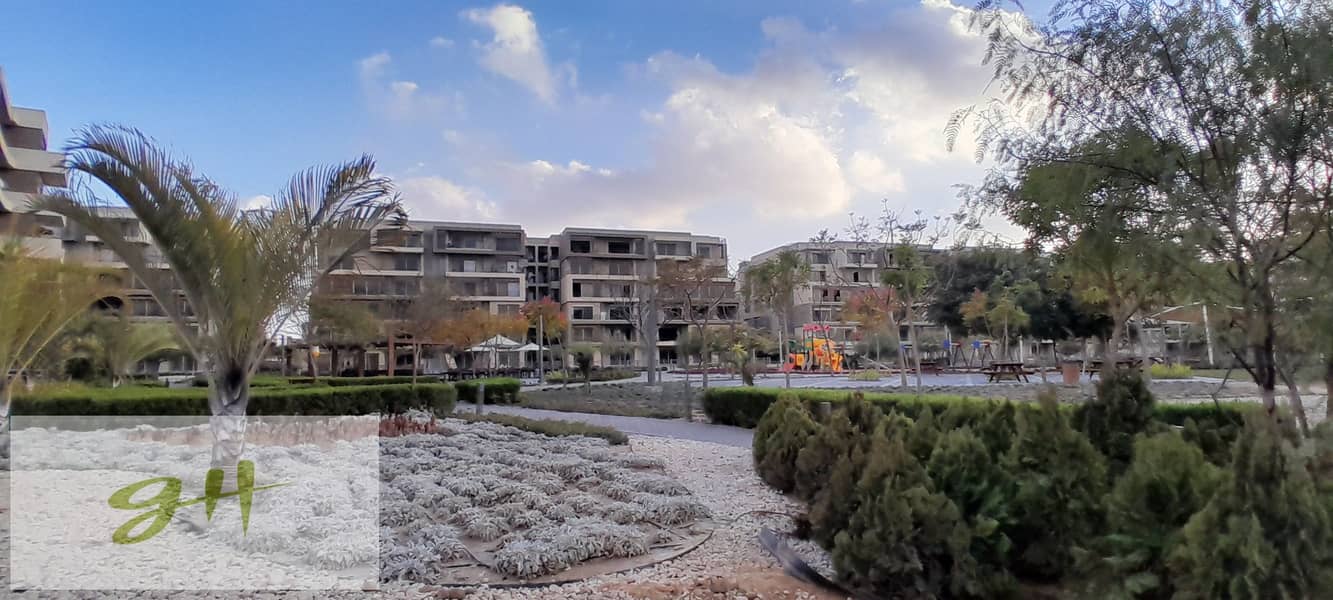 11 20260109_161923. jpg