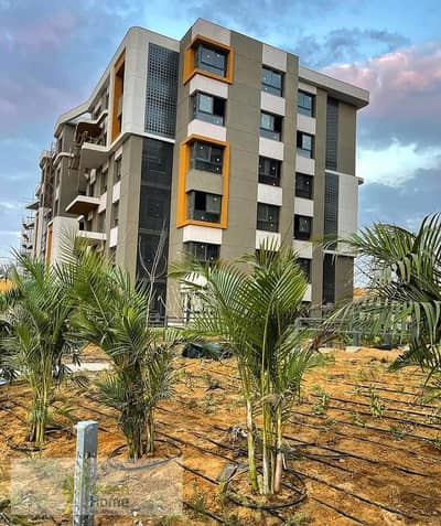 2 Bedroom Apartment for Sale in New Cairo, Cairo - WhatsApp Image 2025-12-22 at 10.22. 06_6e82724c. jpg