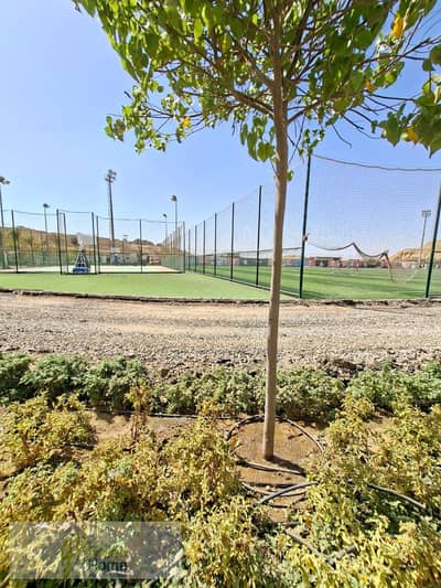 3 Bedroom Flat for Sale in New Cairo, Cairo - WhatsApp Image 2025-12-17 at 2.36. 04 PM. jpeg