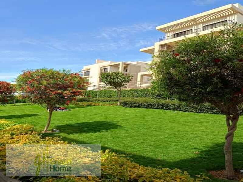 4 WhatsApp Image 2024-07-16 at 3.28. 27 PM (2). jpeg