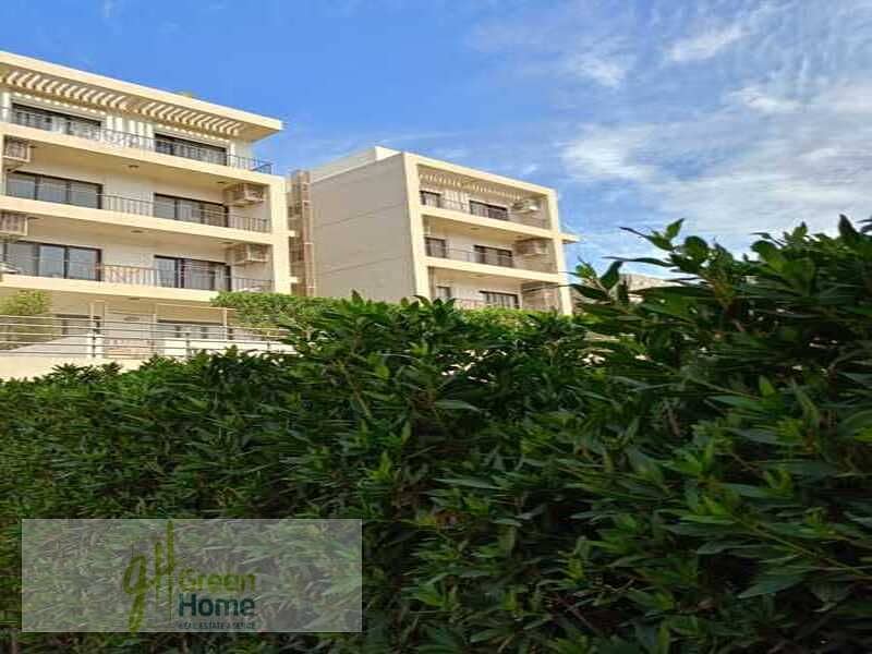 5 WhatsApp Image 2024-07-16 at 3.28. 27 PM. jpeg