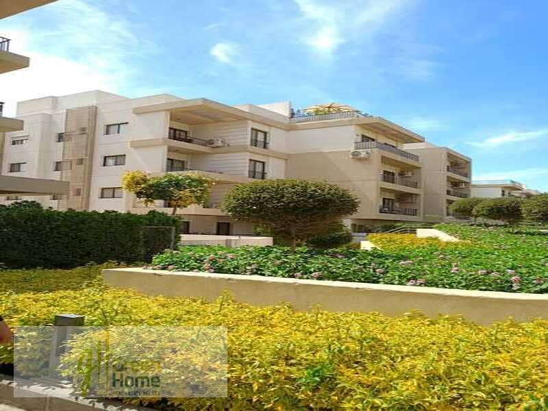 12 WhatsApp Image 2024-07-16 at 3.28. 36 PM. jpeg