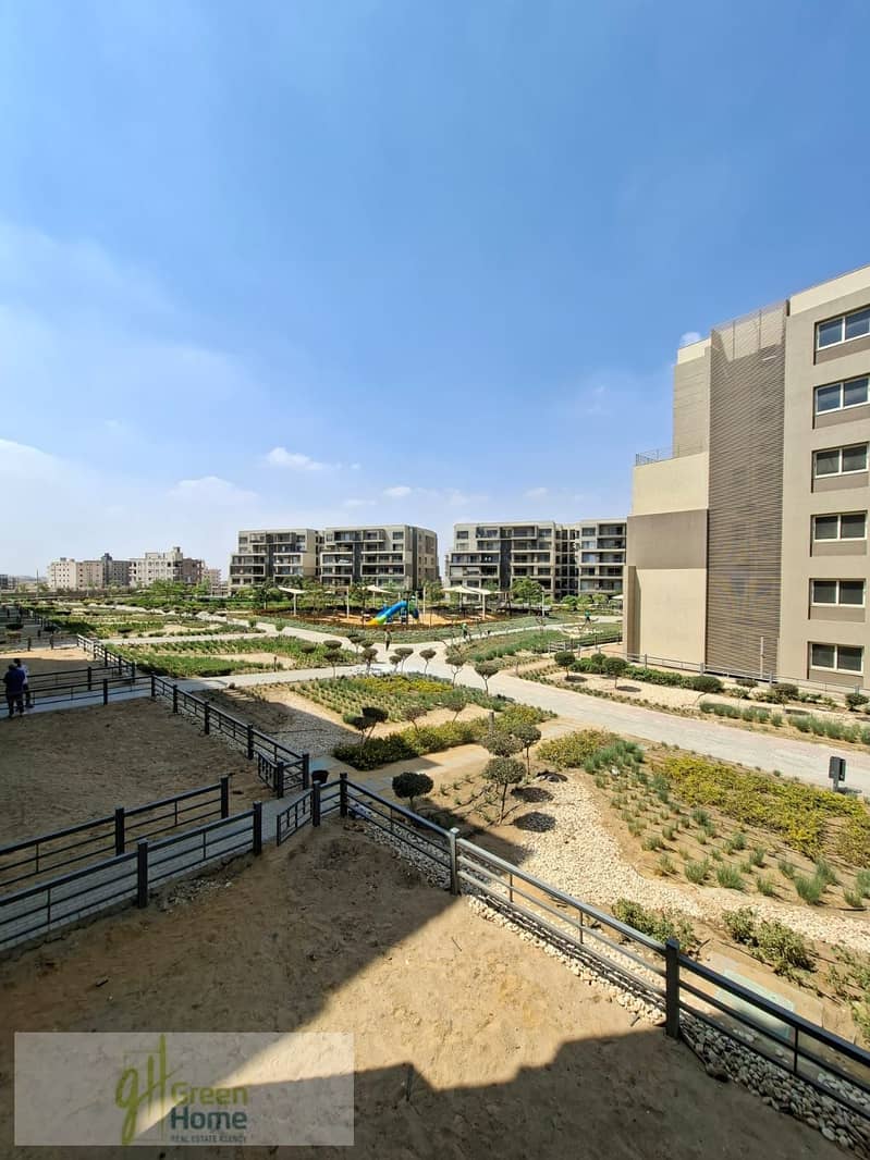 11 WhatsApp Image 2026-01-04 at 22.52. 28. jpeg