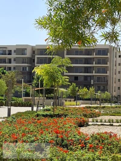 3 Bedroom Flat for Sale in New Cairo, Cairo - WhatsApp Image 2026-01-04 at 22.52. 40 (1). jpeg