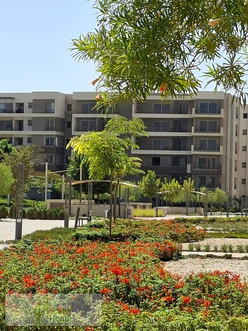 14 WhatsApp Image 2026-01-04 at 22.52. 40 (1). jpeg