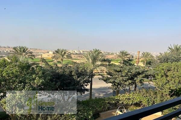 7 6f675998-d063-4cf7-a635-f9d6afed22d6. jpg