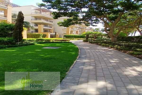 13 81f1d2c2-6555-4566-ab3d-a41fedaa7417. jpg