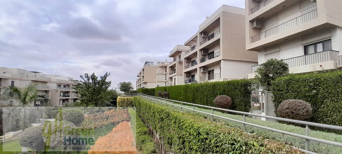 11 20251229_143024. jpg