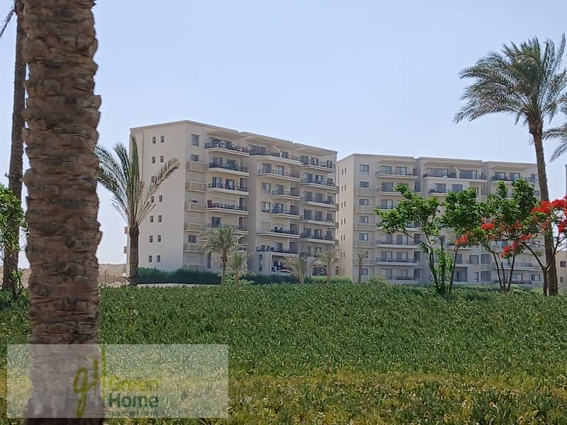 5 522dcc2d-d2fa-475f-ae9a-3675c61169df. jpg