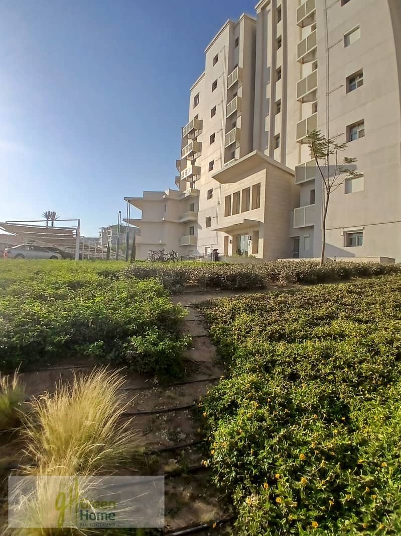 6 05601285-fc9e-4834-9cbc-77125c35a8e1. jpg