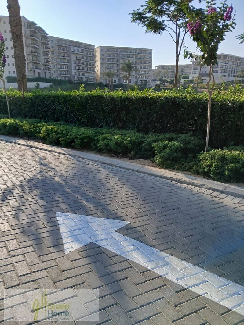 10 510bebf6-df0d-4fad-8e41-23b8c1e43212. jpg