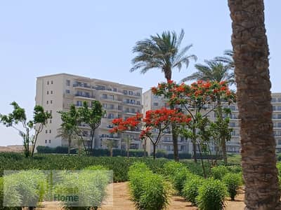 3 Bedroom Flat for Sale in Mokattam, Cairo - d7086e27-30bf-40df-a873-d8ffe89c6fe7. jpg