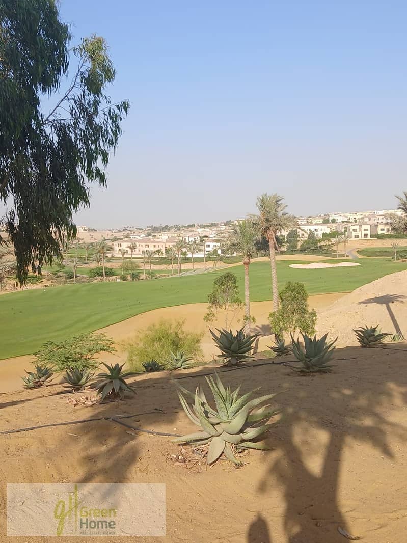 12 513f0197-f8a7-4af0-8379-ea54b6e8f01d. jpg