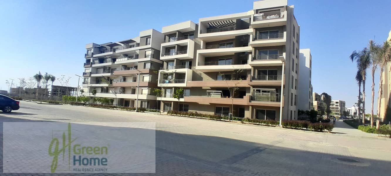 3 20251017_155735. jpg