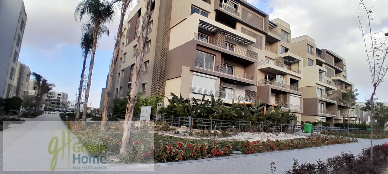 5 20260109_155422. jpg