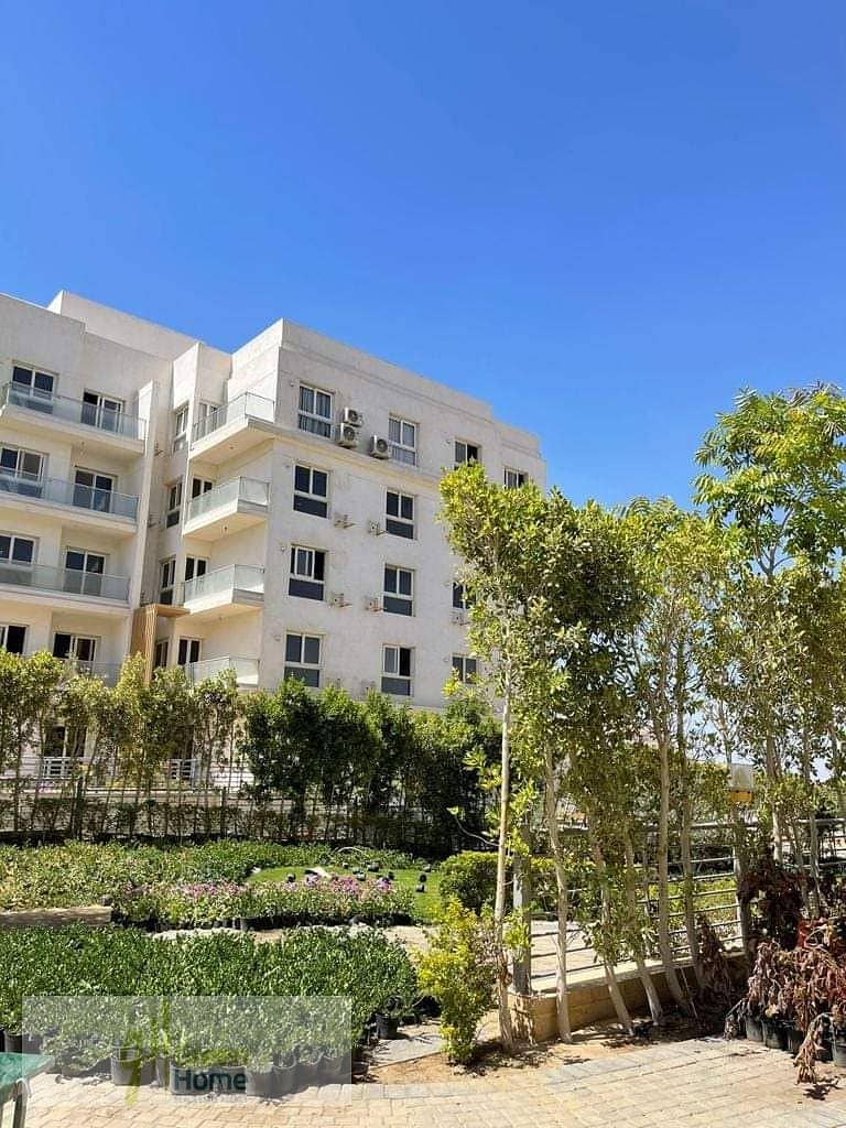 2 FB_IMG_1691824636660. jpg