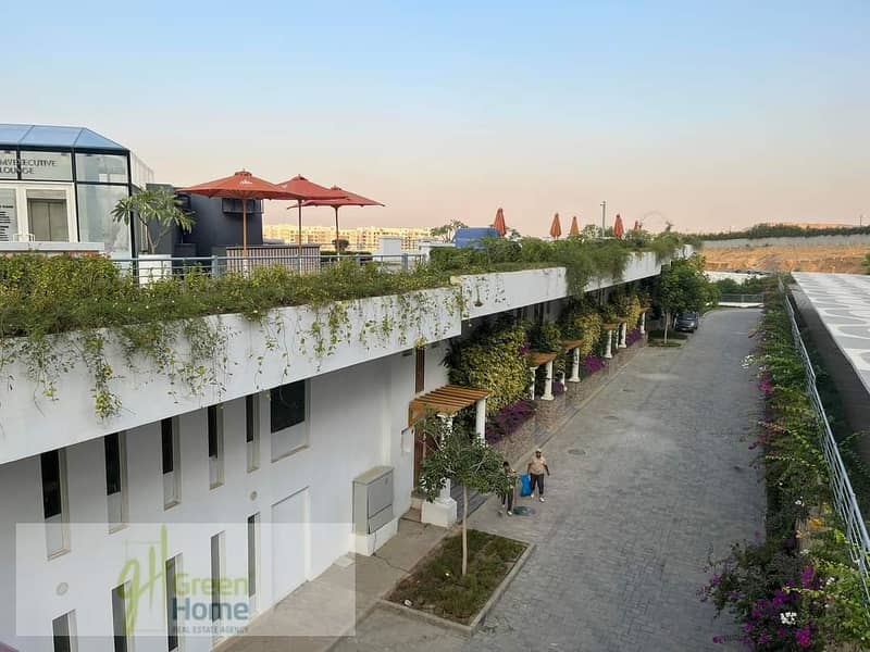 4 FB_IMG_1691917775487. jpg