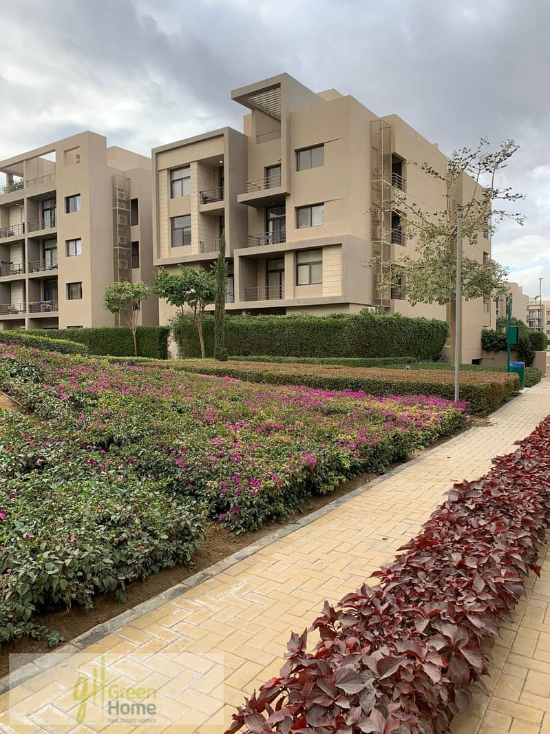 7 26aeec46-0513-4880-ac9f-a481211af8a7. jpg