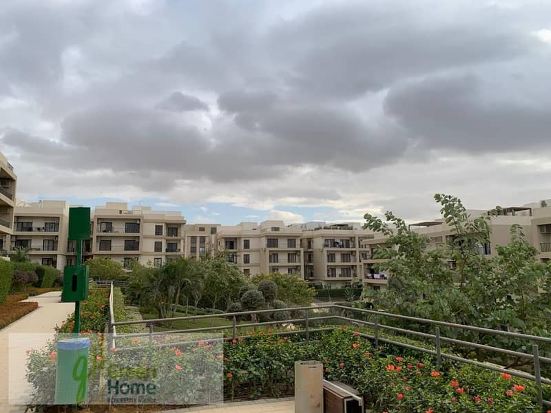 8 31b312fe-f96e-43d2-a9f0-15f0c7339e39. jpg