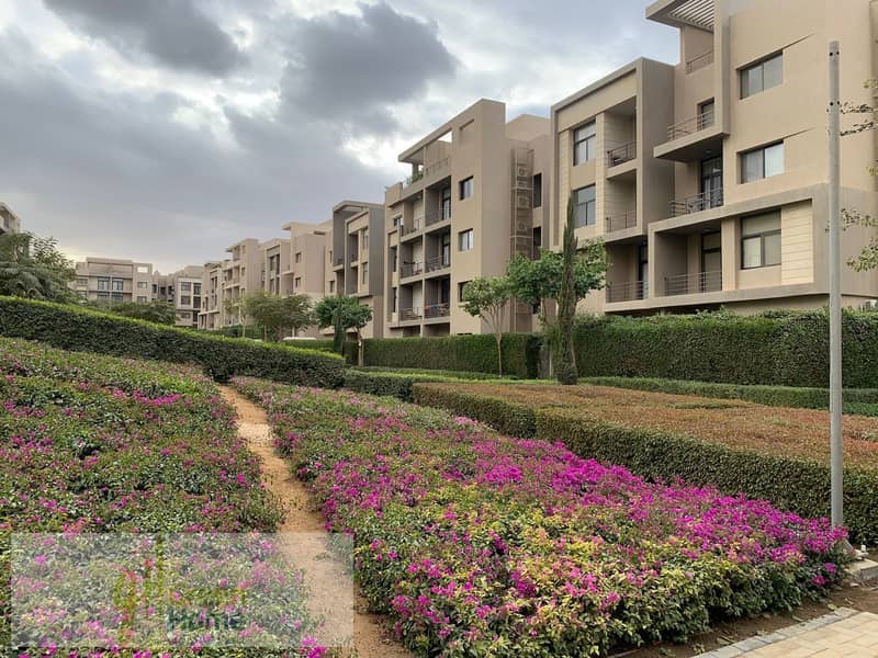 9 3e6f1338-50c9-47dd-974e-7779104a09b4. jpg