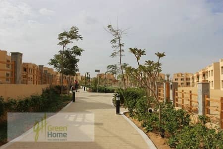 4 Bedroom Villa for Sale in New Cairo, Cairo - WhatsApp Image 2025-12-24 at 11.06. 33 (1). jpeg